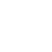 Optical disc protection